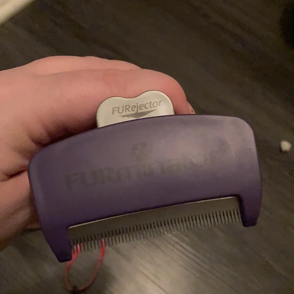 Furminator comb, cat hairball shampoo, and cute pink collar w a bell…!!